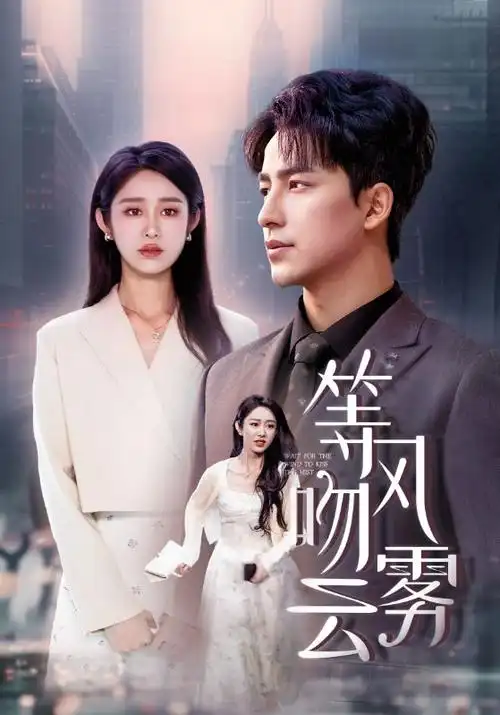 雾港来信 天美影院在线观看高清剧集海报